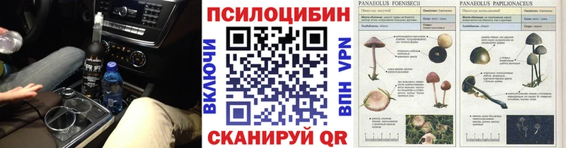 Псилоцибиновые грибы GOLDEN TEACHER  Мураши 
